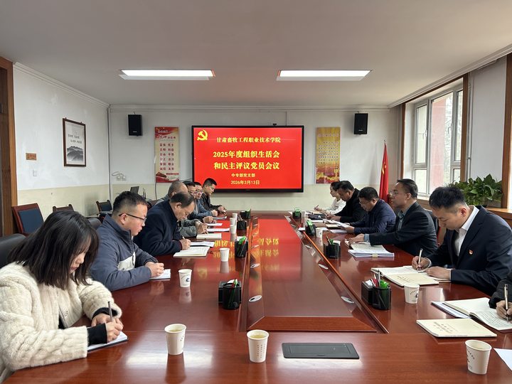 2025年度组织生活和民主评议党员会3