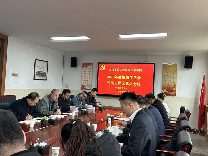 2025年度组织生活和民主评议党员会1